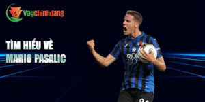 Tìm hiểu về mario pasalic